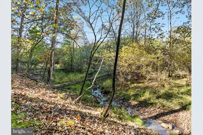 15 Meadow View Drive, Lost River, WV 26810 - Photo 4