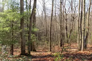 12 & 14A Cedcarwood, Mathias, WV 26812 - Photo 1