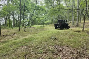 6836 State Road 55, Moorefield, WV 26836 - Photo 22