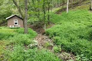 6836 State Road 55, Moorefield, WV 26836 - Photo 14