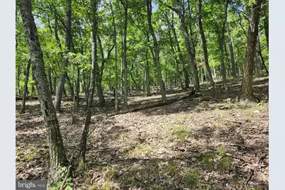 6836 State Road 55, Moorefield, WV 26836 - Photo 98