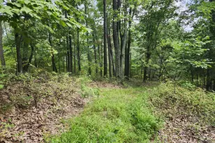 6836 State Road 55, Moorefield, WV 26836 - Photo 96