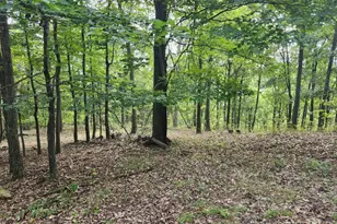 6836 State Road 55, Moorefield, WV 26836 - Photo 48