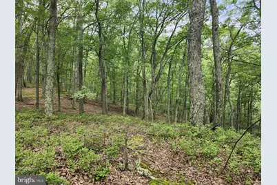 6836 State Road 55, Moorefield, WV 26836 - Photo 36