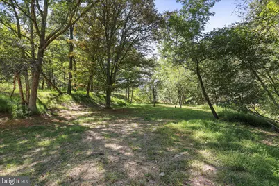 1956 Dove Hollow Road, Mathias, WV 26812 - Photo 92