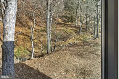 1956 Dove Hollow Road, Mathias, WV 26812 - Photo 52