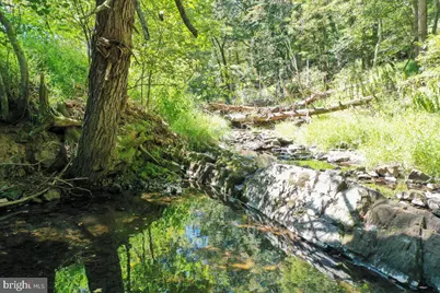 1956 Dove Hollow Road, Mathias, WV 26812 - Photo 74