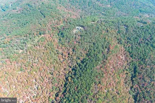 1239 Top Of The Mountain, Rio, WV 26755 - Photo 104