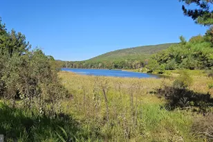 1195 Warden Lake A B Dr, Wardensville, WV 26851 - Photo 12