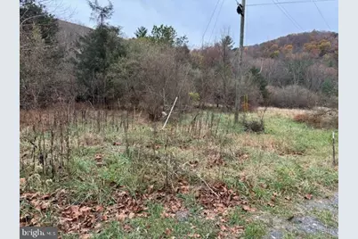 Wildlife Drive, Lost City, WV 26810 - Photo 1
