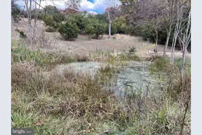 307 Earl Barr Lane, Fisher, WV 26818 - Photo 12