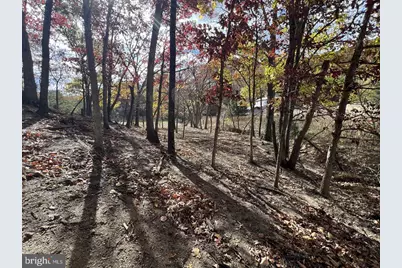 307 Earl Barr Lane, Fisher, WV 26818 - Photo 30