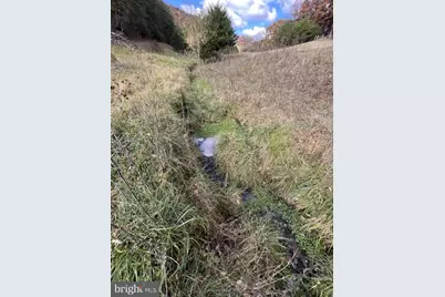 307 Earl Barr Lane, Fisher, WV 26818 - Photo 38