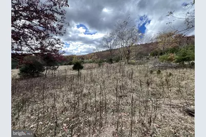 307 Earl Barr Lane, Fisher, WV 26818 - Photo 16