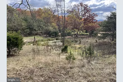 307 Earl Barr Lane, Fisher, WV 26818 - Photo 20