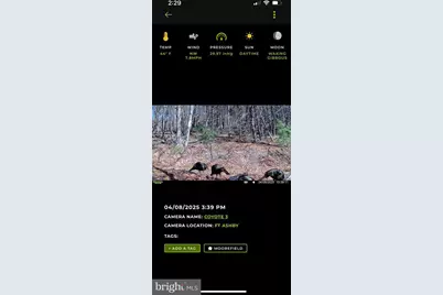 299 Ashton Woods, Moorefield, WV 26836 - Photo 42