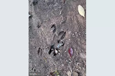 299 Ashton Woods, Moorefield, WV 26836 - Photo 30