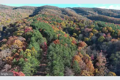 299 Ashton Woods, Moorefield, WV 26836 - Photo 72