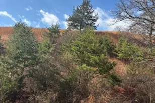 Ewing Dr, Baker, WV 26801 - Photo 1