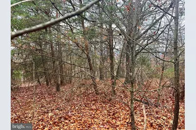 158 Eastern Drive, Moorefield, WV 26836 - Photo 6