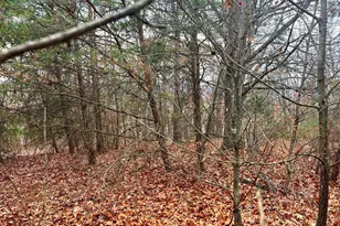 158 Eastern Dr, Moorefield, WV 26836 - Photo 6