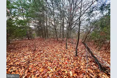 158 Eastern Drive, Moorefield, WV 26836 - Photo 8