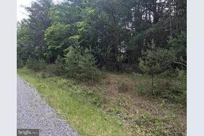 0 Slate Rock Run, Wardensville, WV 26851 - Photo 2