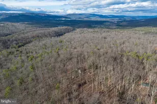 800 Cove Mountain Rd, Mathias, WV 26812 - Photo 82