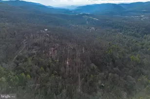 800 Cove Mountain Rd, Mathias, WV 26812 - Photo 86