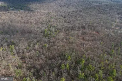 800 Cove Mountain Road, Mathias, WV 26812 - Photo 90