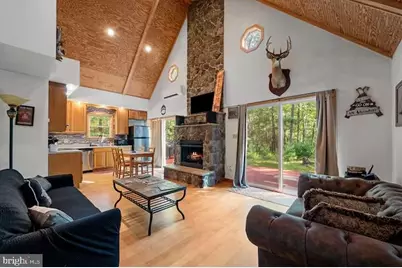 393 Timber Run Rd, Mathias, WV 26812 - Photo 4