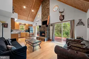 393 Timber Run Rd, Mathias, WV 26812 - Photo 4