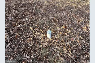 333 Ashton Woods, Moorefield, WV 26836 - Photo 8