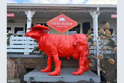 529 Posy Hill Road, Wardensville, WV 26851 - Photo 58