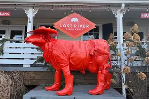 529 Posy Hill Rd, Wardensville, WV 26851 - Photo 58