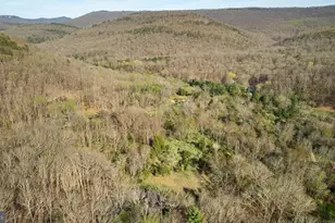 529 Posy Hill Rd, Wardensville, WV 26851 - Photo 48