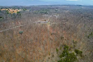 5268 Hutter Rd, Fisher, WV 26818 - Photo 92