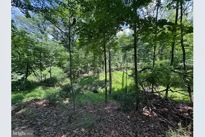 16 Rolling Acres Drive, Old Fields, WV 26845 - Photo 10