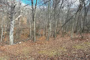 16 Rolling Acres Dr, Old Fields, WV 26845 - Photo 16