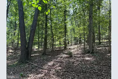 16 Rolling Acres Drive, Old Fields, WV 26845 - Photo 8