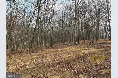 16 Rolling Acres Drive, Old Fields, WV 26845 - Photo 6