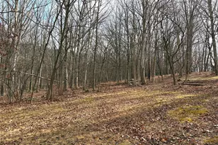 16 Rolling Acres Dr, Old Fields, WV 26845 - Photo 6