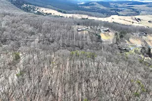 16 Rolling Acres Dr, Old Fields, WV 26845 - Photo 22