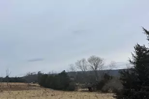 109 Mulberry Ln, Wardensville, WV 26851 - Photo 6