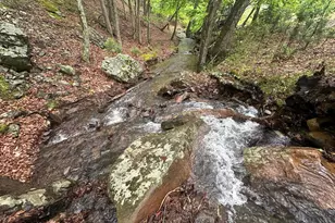 250 Trout Pass, Mathias, WV 26812 - Photo 8