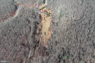 250 Trout Pass, Mathias, WV 26812 - Photo 136