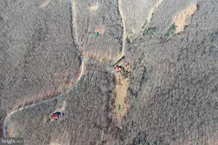 250 Trout Pass, Mathias, WV 26812 - Photo 130