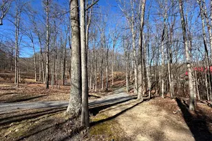 250 Trout Pass, Mathias, WV 26812 - Photo 116