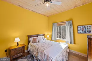 250 Trout Pass, Mathias, WV 26812 - Photo 50