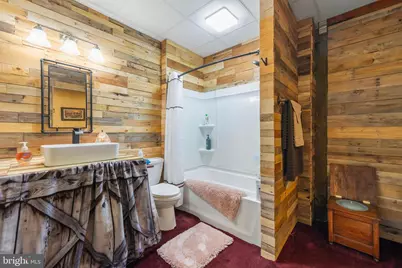 250 Trout Pass, Mathias, WV 26812 - Photo 64